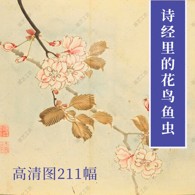 配图诗经名物图解花鸟画水墨国画鱼虫临摹古本花卉手绘植物高清图