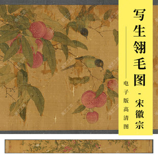 写生翎毛图宋徽宗赵佶历代名画文人画荔枝工笔花鸟国画临摹高清图