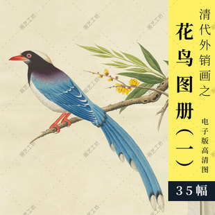 花鸟彩绘图册清代外销画工笔国画手绘水粉水彩画彩铅博物画临摹本