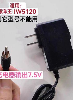 适用海洋王便携式强光防爆工作灯IW5120 IW5100GC电池6V 充电器线
