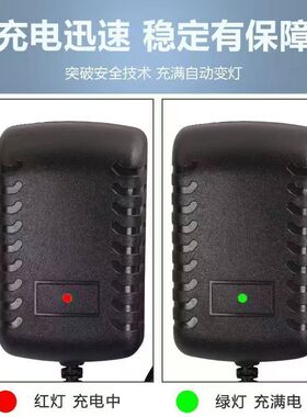 适用OTO Papa Hugger按摩枕PG-88电源线12.6V2A充电器线插头线24W