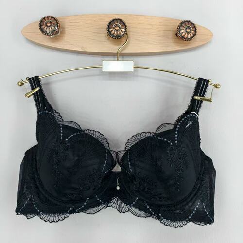 黛安芬正品25秋冬新款女士有钢圈法式性感聚拢文胸16-9046