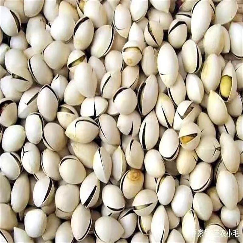 开袋即食炒白果烘炒银杏果熟白果邳州特产炒货零食500g一包