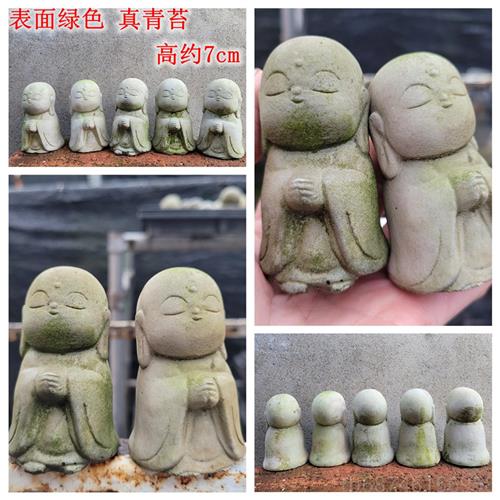 新款日良苔缘地小藏和尚可爱迷你袖珍禅意盆景藓青摆件造景式鱼缸