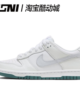 Nike/耐克 Dunk Low 黑白灰男女低帮运动休闲板鞋 FD9911-101