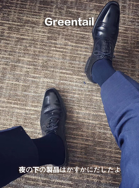 日式商务正装绅士 低调纯色 薄款 丝光棉男袜 S872050