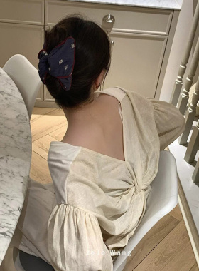 红蓝高级配色~日常好搭抓夹简约发抓高级发夹气质韩国发饰头饰
