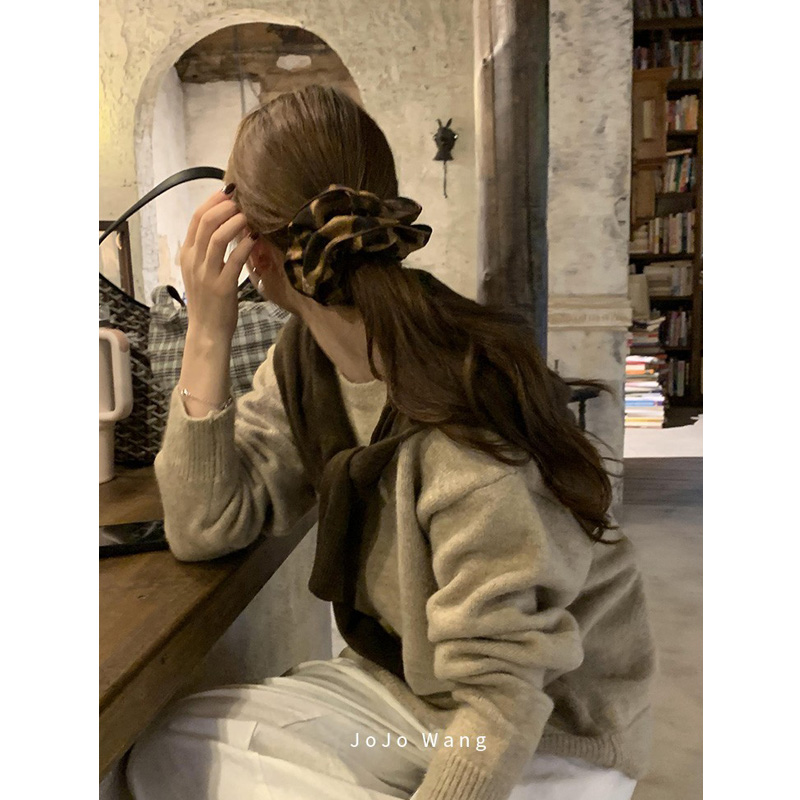 穿搭~豹纹简约高级感大肠发圈