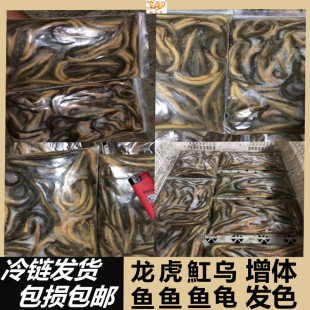 冷冻泥鳅单冻虾仁河虾麦穗鱼食新鲜观赏鱼龙鱼虎鱼魟鱼龟饲料 包邮