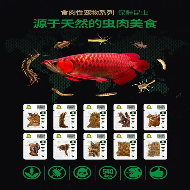 活体保鲜蜈蚣蟑螂红龙鱼大麦虫