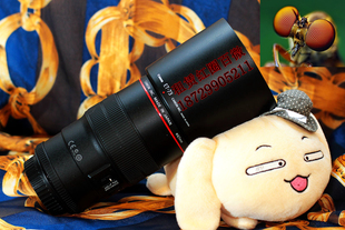 单反镜头老蛙60 is红圈百微 2.8超级微距 2.8L 西安租赁佳能EF100