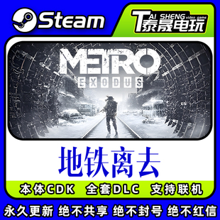 Steam正版国区CDK/地铁离去DLC全套DLC解锁/游戏本体激活码CDK