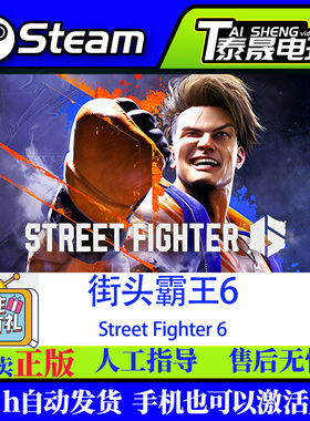 Steam正版国区CDK 街头霸王6  Street Fighter 6 国区激活码CDKey