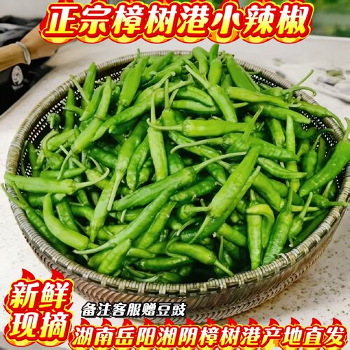 湖南正宗樟树港辣椒新鲜现摘包邮