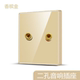 国际电工亚克力有机玻璃镜面板香槟金色2孔二头音响86型音频插座