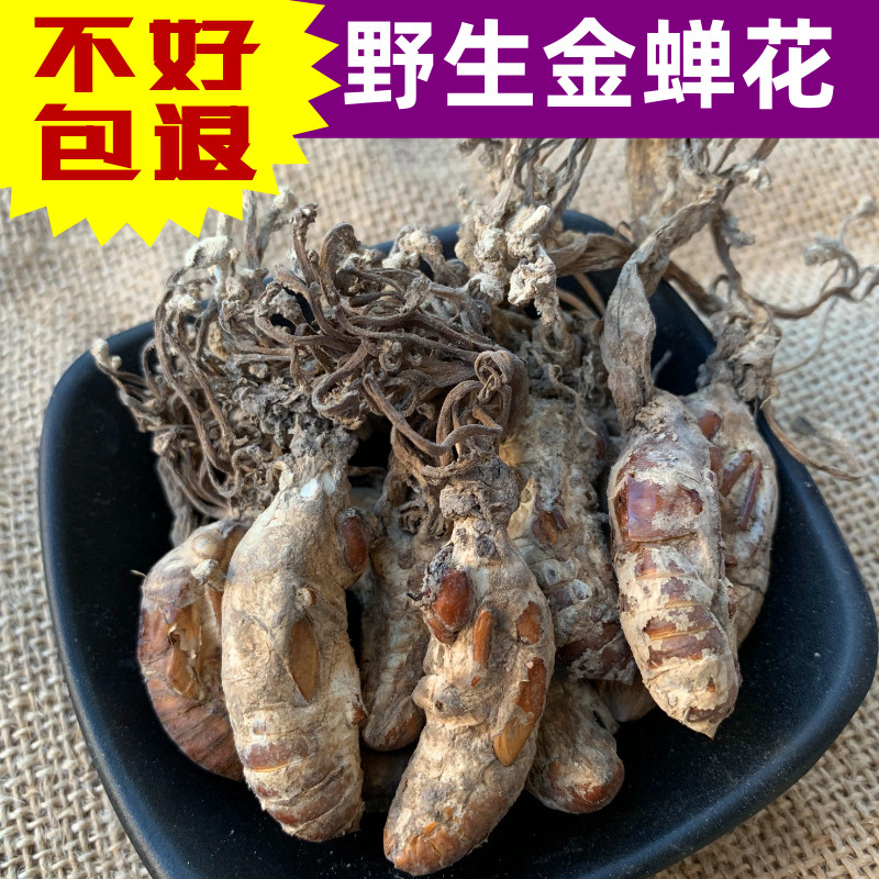 金蝉花野生250g中药材2025年新货正品竹林蝉花知了花大虫草粉