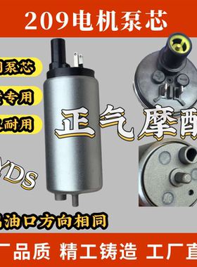 适用豪爵HJ150-12-12A-30E DK150E/R DF150汽油泵芯 油泵马达电机