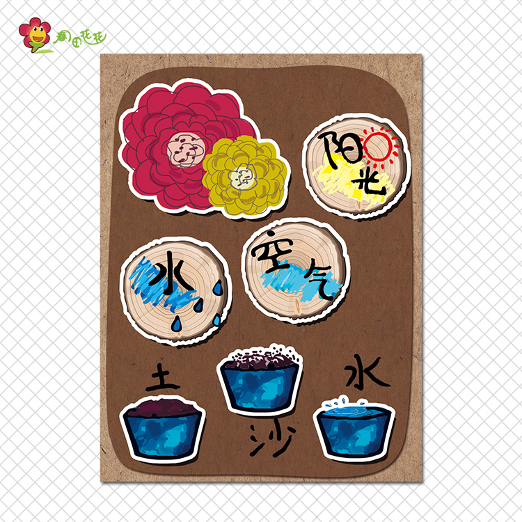 幼儿园重瓣太阳花种植生长过程自然区植物角环创主题墙布置贴画
