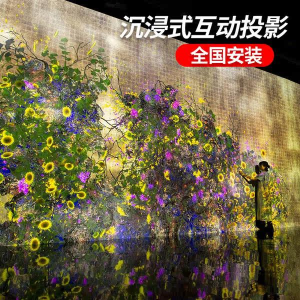 沉浸式互动投影设备全国安装花卉印花墙体装饰DIY配件