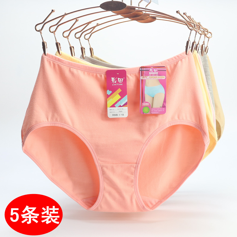 5条装彩田内裤女纯棉低腰高腰