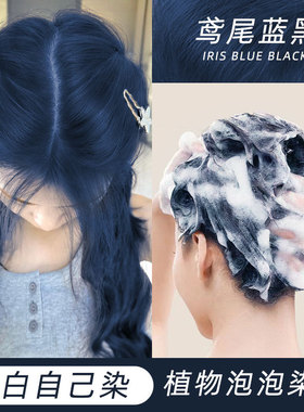 网红爆款泡泡染发剂鸢尾蓝黑色染发膏植物染色纯家用泡沫型黑茶色