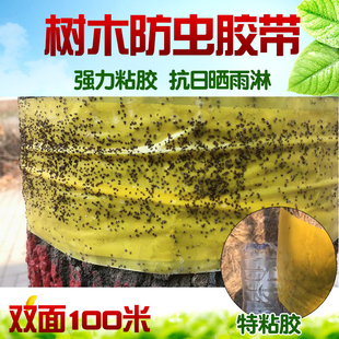 粘虫胶带树林木涂树胶防虫胶带果树爬虫园林苗木红蜘蛛草履蚧尺蠖
