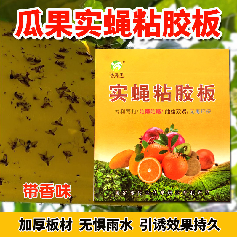 瓜果实蝇粘胶板粘虫板诱蝇贴针蜂黏果蝇诱粘板防虫灭虫纸粘苍蝇蚊