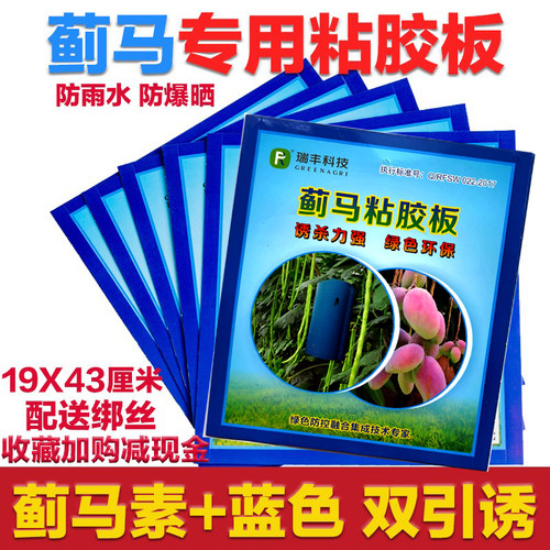 蓟马粘胶板蓝色粘虫板蓟马信息素