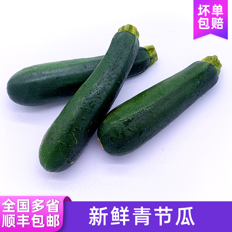 青节瓜2/3/5斤 新鲜蔬菜青西葫...