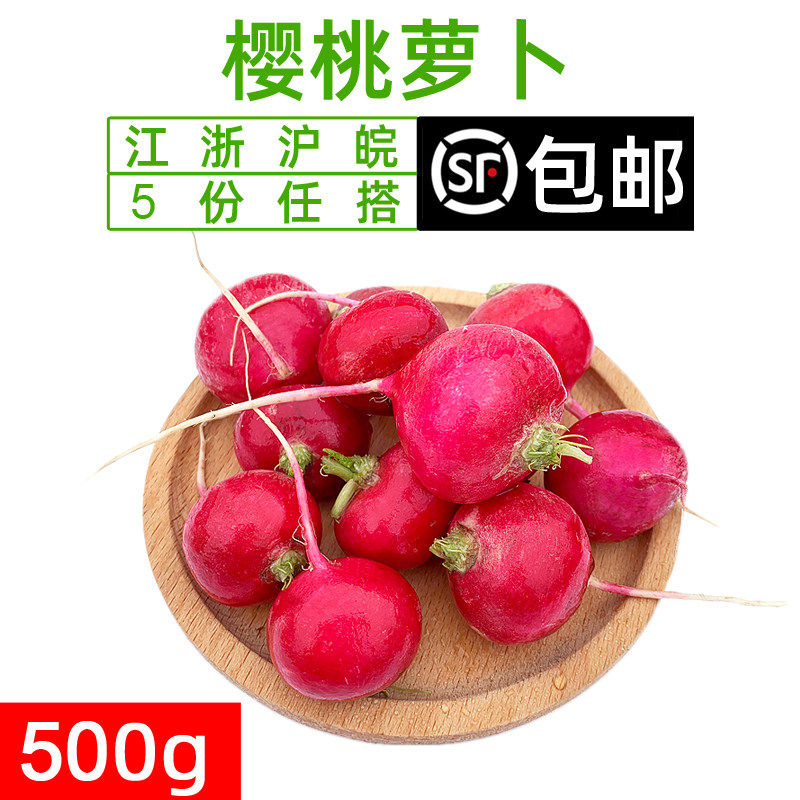 樱桃萝卜新鲜当季蔬菜迷你包邮