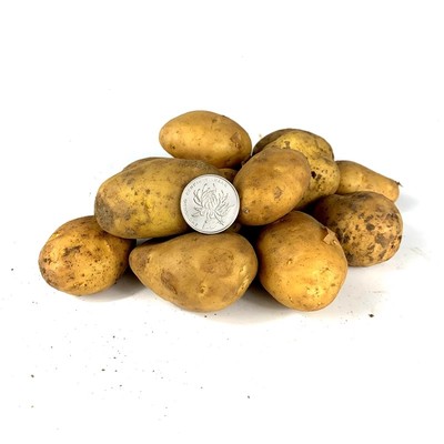 软糯迷你小土豆新鲜蔬菜