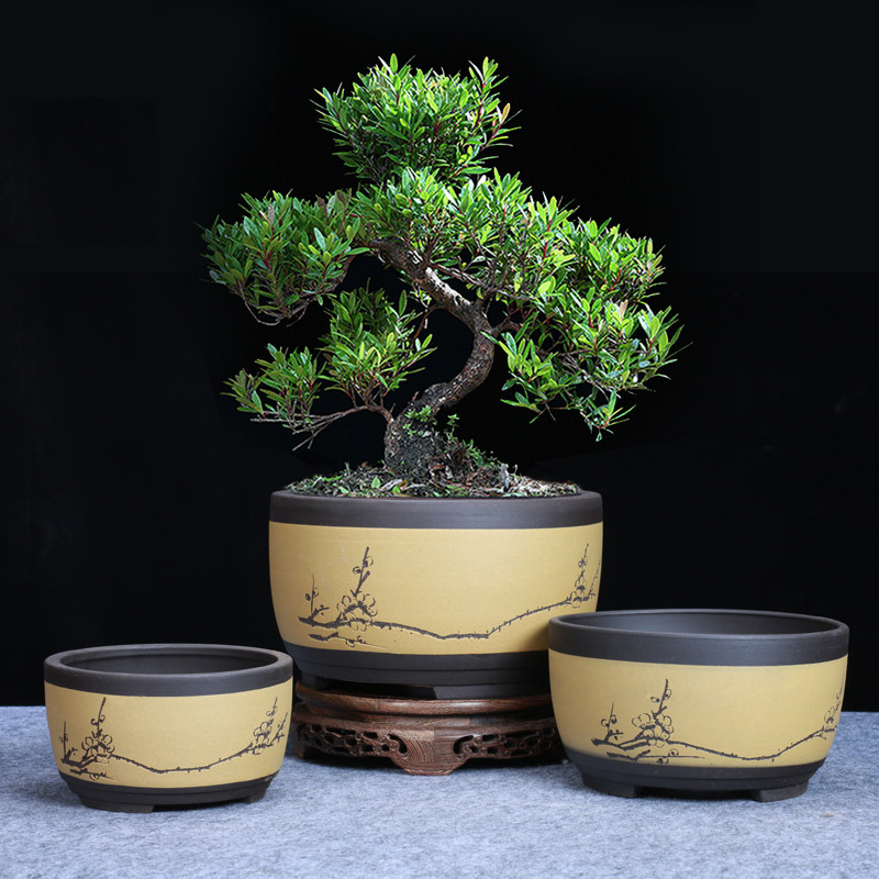 花盆 陶瓷 圆形大中小盆景盆 盆景绿植花盆 鼓形中国风透气盆图片