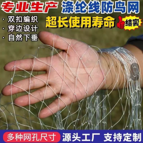新款涤纶防鸟网尼龙多股复丝防鸟罩果树菜地大棚葡萄鱼塘天网防护