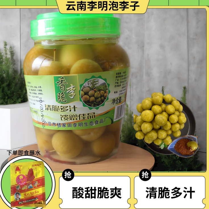 送蘸水正宗云南特产腌制酸李子水泡香脆李酸甜脆爽孕妇酸包邮