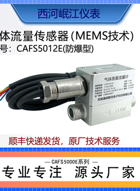 防爆型气体质量流量计CAFS5012E/5005E甲烷丙烷油气氢气可燃气体