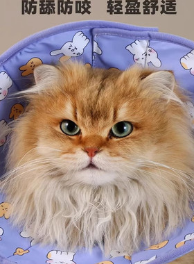 宠物喵咪伊丽莎白圈防水项圈头套绝育术后用品防舔圈中小幼犬狗狗