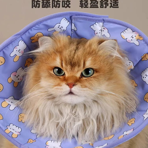 宠物伊丽莎白圈防水术后用品