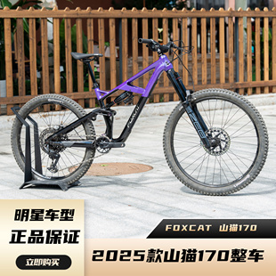 25款FOXCAT山猫170官方整车
