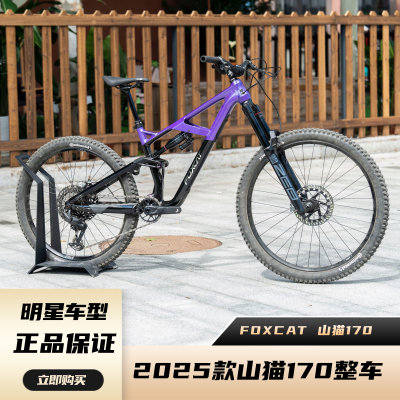 25款FOXCAT山猫170山地自行车