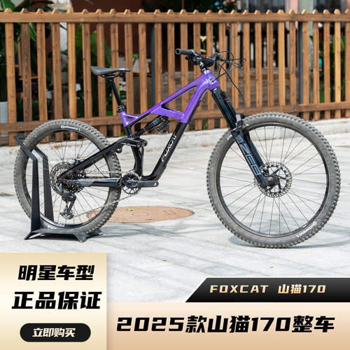 25款FOXCAT山猫170山地自行车