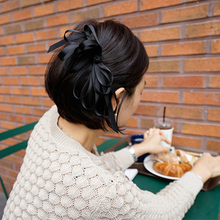 韩国进口蝴蝶结侧边 发夹女后脑勺  高级感顶夹子 弹夹头饰发饰
