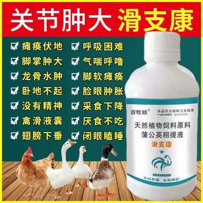 滑支康鸡鸭鹅家禽用支原体炎关节
