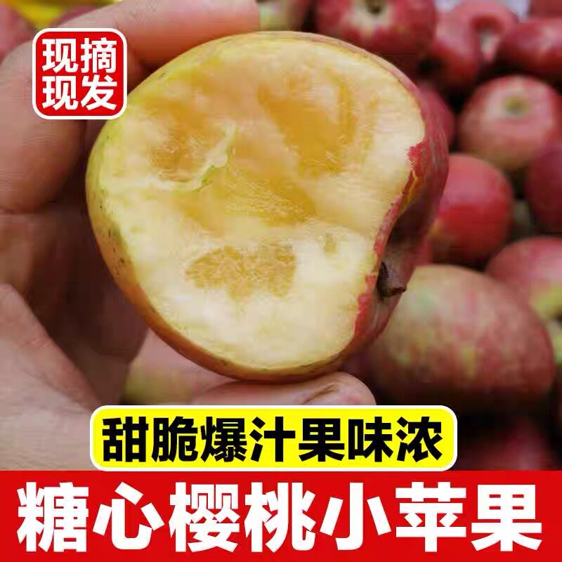 山东樱桃小苹果精选果