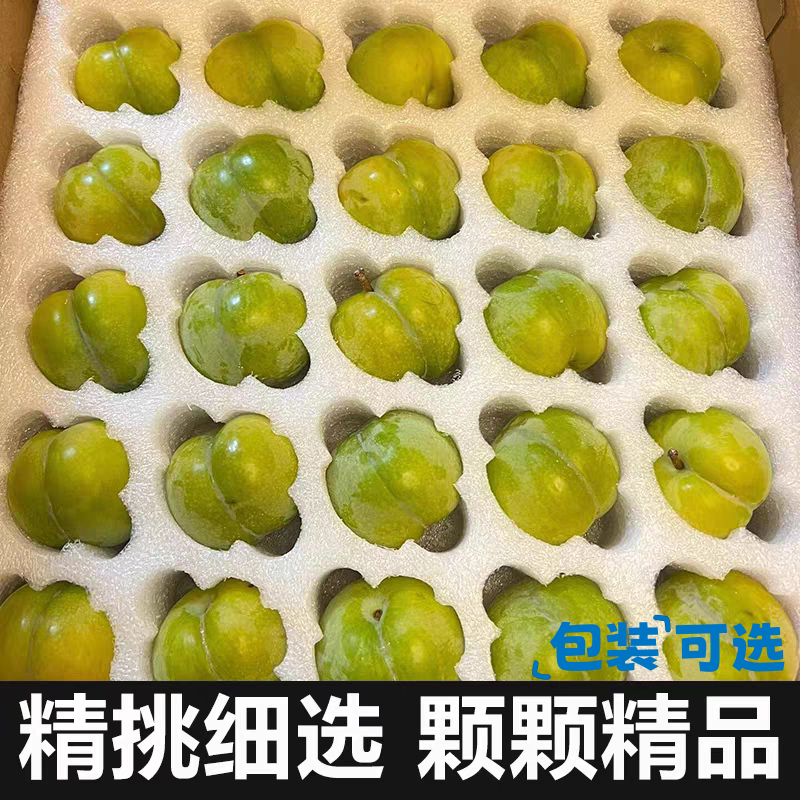 四川清脆脱骨李精选大果
