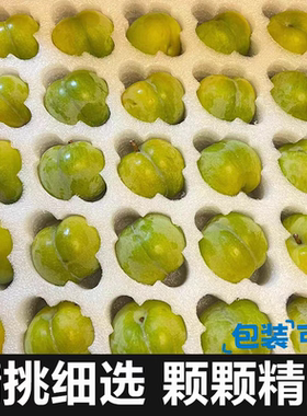 四川清脆脱骨李精选大果