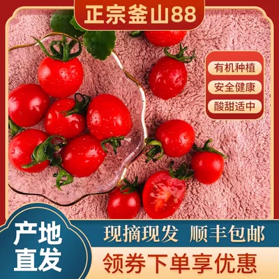 山东釜山88精选大果顺丰