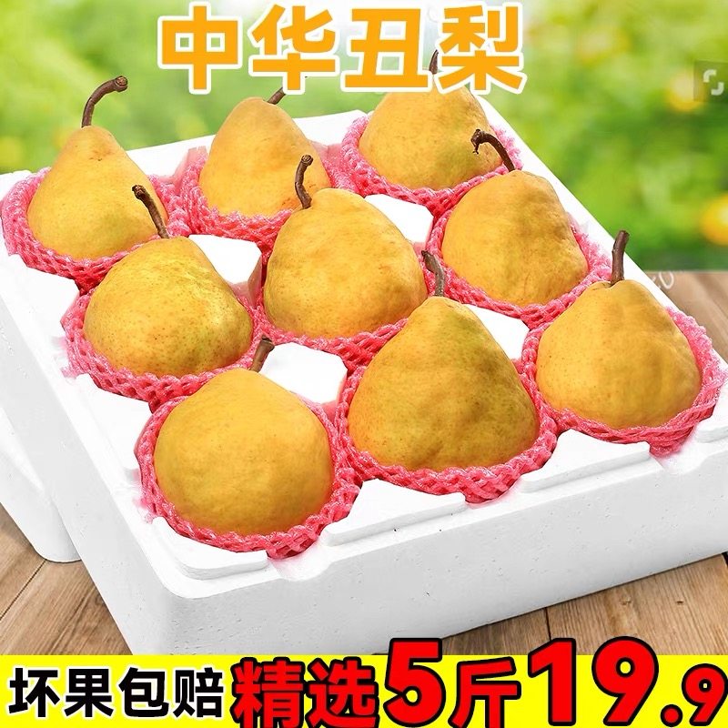 中华丑梨山东烟台莱阳软糯香甜啤梨子孕妇水果新鲜当季整箱现货CC,水产肉类/新鲜蔬果/熟食,梨,淘宝优惠券,粉丝福利购,淘宝优惠卷