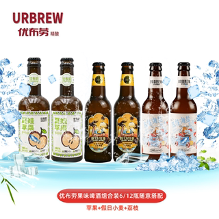 优布劳精酿啤酒果味啤酒 海盐荔枝苹果小麦3种口味6瓶果味组合装