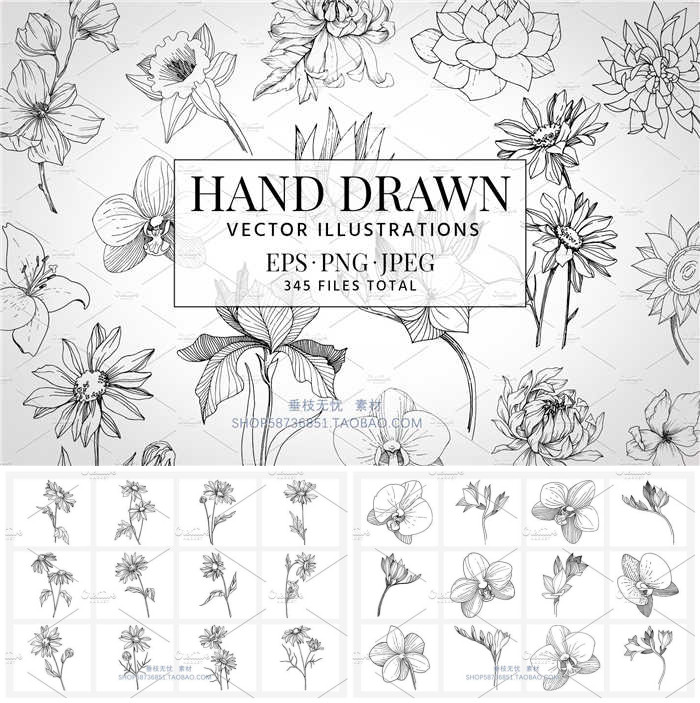 A1172矢量115个手绘花朵兰花菊花百合线稿装饰插画AI设计素材+png