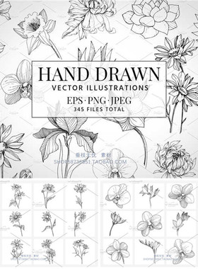 A1172矢量115个手绘花朵兰花菊花百合线稿装饰插画AI设计素材+png